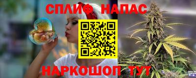 индика Тверь