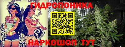 индика Тверь