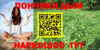 индика Тверь