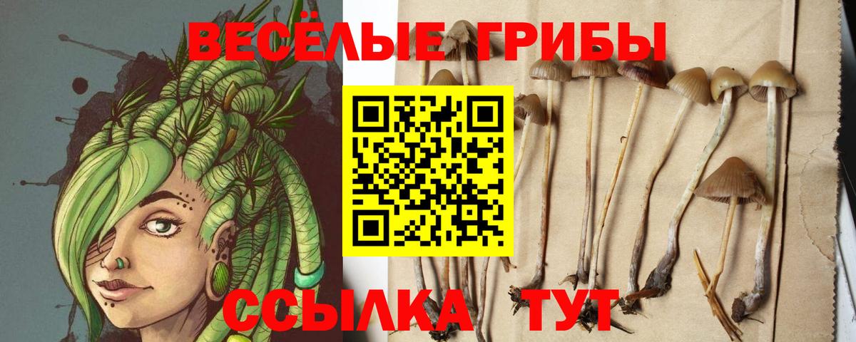 Галлюциногенные грибы мухоморы  Псилоцибиновые грибы мицелий  Вход с VPN  Острогожск 